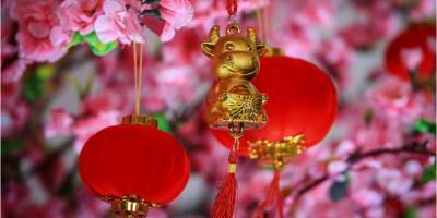 Китайский Новый год. Открытки и поздравления с годом Белого Металлического Быка