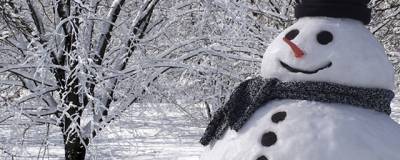 В Новосибирске ищут мужчину, который из-за снеговика избил двух подростков