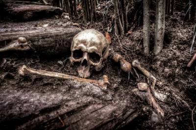 В Хабаровске мужчина нашёл человеческий скелет во дворе своего дома