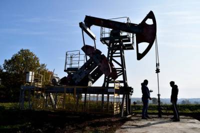 Названа критическая цена нефти для России