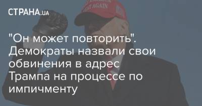 "Он может повторить". Демократы назвали свои обвинения в адрес Трампа на процессе по импичменту