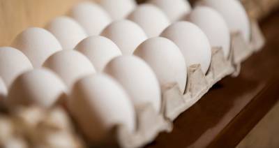 Диетолог объяснила, в каком виде и количестве лучше всего есть яйца