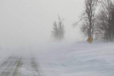 Снежный циклон придёт в Хабаровский край на следующей неделе
