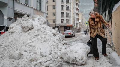 Сильный снегопад и мощный ветер обрушились на Москву