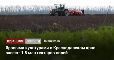 Яровыми культурами в Краснодарском крае засеют 1,8 млн гектаров полей