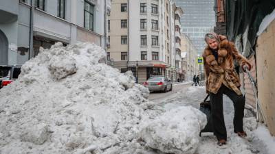 Городские службы приведены в режим повышенной готовности из-за снегопада
