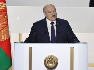 Александра Лукашенко - Германия примет до 50 противников режима Лукашенко, но может увеличить лимит - gordonua.com - Белоруссия - Германия
