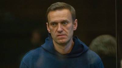 Заседание по делу Навального о клевете началось в Москве
