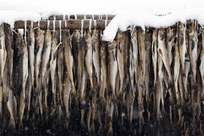 Цены на минтай у российских рыбаков упали до минимальных за последние несколько лет значений