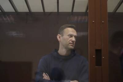 В Москве возобновился процесс над Навальным по делу о клевете на ветерана