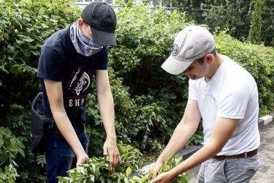 Более семисот рабочих мест для подростков создадут в Серпухове