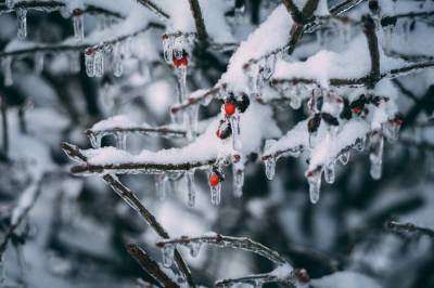 В Ростовской области теплая погода сменится резким похолоданием на 32 градуса