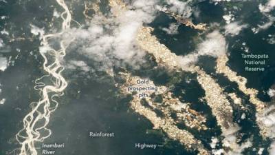 Карьеры от незаконной добычи золота в лесах Амазонии стало видно из космоса - NASA показало фото