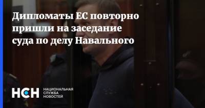 Дипломаты ЕС повторно пришли на заседание суда по делу Навального