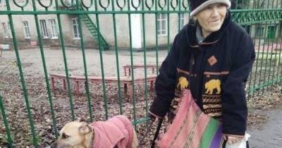 Пес-помощник: в Запорожье собака носит сумки своей старенькой хозяйки
