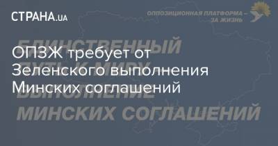 ОПЗЖ требует от Зеленского выполнения Минских соглашений