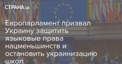 Европарламент призвал Украину защитить языковые права нацменьшинств и остановить украинизацию школ