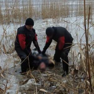 В Запорожском районе мужчину нашли мертвым на дне реки. Фотофакт