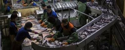 В Башкирии построят завод по выращиванию и переработке рыбы