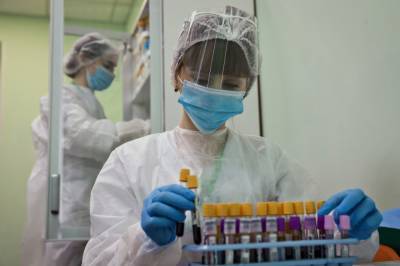 На Северном Кавказе выявлено чуть более 500 новых случаев коронавируса