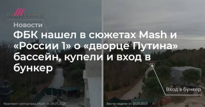 ФБК нашел в сюжетах Mash и «России 1» о «дворце Путина» бассейн, купели и вход в бункер