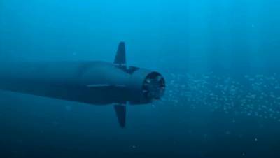 Началась подготовка к испытаниям подводных роботов «Посейдон» с борта «Белгорода»