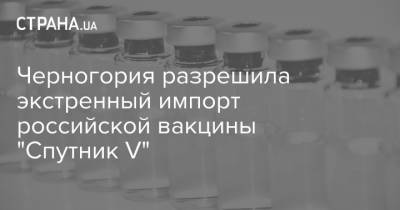 Черногория разрешила экстренный импорт российской вакцины "Спутник V"
