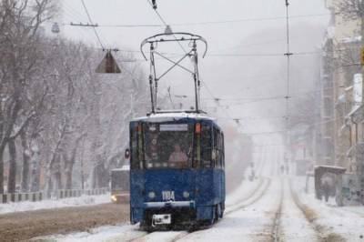 Во Львове трамвай сбил водителя другого трамвая: полиция проводит расследование