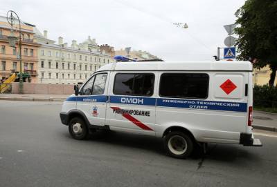 80 сообщений о минировании зданий проверяла полиция в Петербурге за год