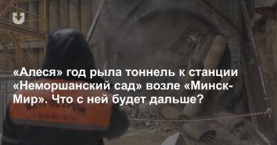 «Алеся» год рыла тоннель к станции «Неморшанский сад» возле «Минск-Мир». Что с ней будет дальше?