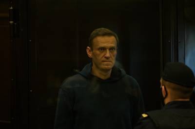 В суде выяснилось, из-за кого на Навального возбудили дело о клевете на ветерана ВОВ