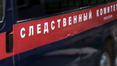 Мать бросила троих детей голыми на морозе в Новой Москве