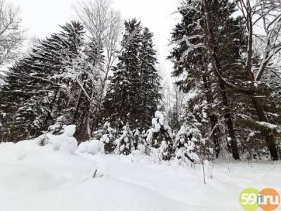 В лесах Перми усилен контроль за несанкционированным складированием снега