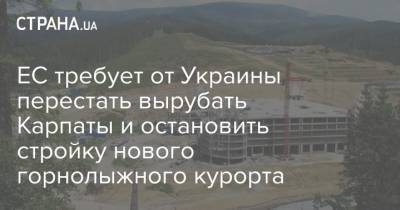 ЕС требует от Украины перестать вырубать Карпаты и остановить стройку нового горнолыжного курорта