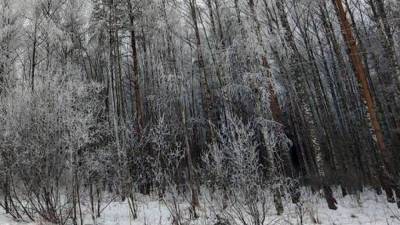 Москвичка оставила умирать голых детей в лесу после ссоры с мужем