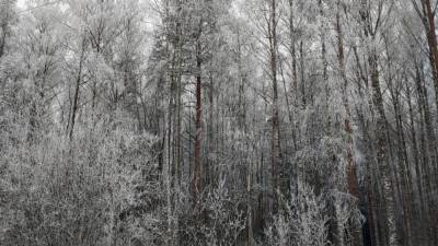 Голая москвичка приехала в лес помолиться и заморозила детей