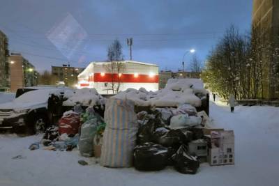 Жители Мурманской области продолжают жаловаться на некачественную уборку мусорных контейнеров
