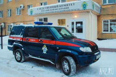 СК проводит проверку после публикаций о нападении бездомной собаки на ребёнка в Кузбассе