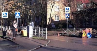 Зелёный эксперимент: в Калининграде на одной из улиц железные ограждения заменят живой изгородью