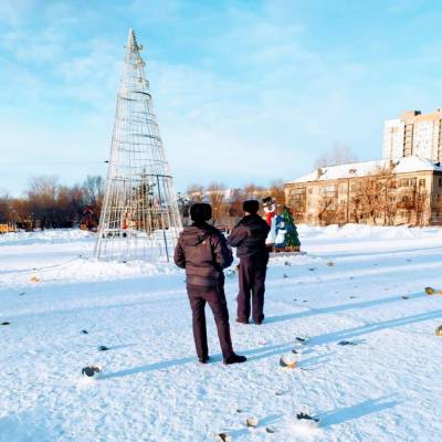 Полиция ищет вандалов, которые испортили ледовый городок в Челябинске - znak.com - Челябинск - р-н Советский