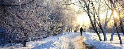 Москвичка оставила замерзать троих детей ночью в лесу