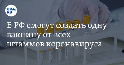 В РФ смогут создать одну вакцину от всех штаммов коронавируса