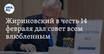 Жириновский в честь 14 февраля дал совет всем влюбленным. «Не надо стесняться»
