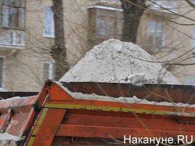 "Это прерогатива жителей": Орлов отправил екатеринбуржцев самих вывозить снег из дворов