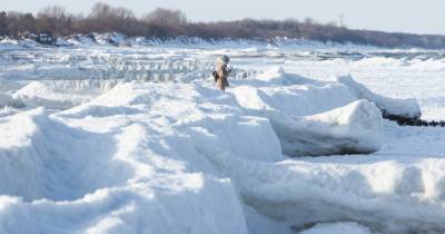 Глыбы льда и инопланетные пейзажи: замёрзшее море в Зеленоградске (фоторепортаж)