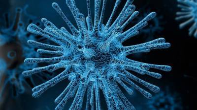 Польские ученые разработали устройство по выявлению коронавируса в воздухе