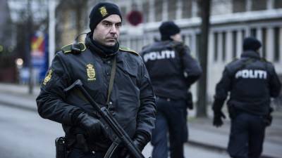 Полицейские Дании и Германии задержали 14 человек по подозрению в подготовке к теракту