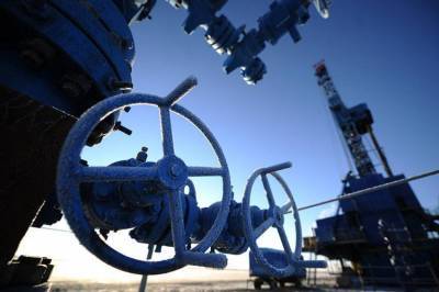 Германия в феврале увеличила закупку российского газа на 47,8% nbsp