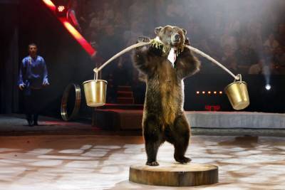 Аскольд Запашный рассказал о запрете цирка с животными и гастролях во время пандемии