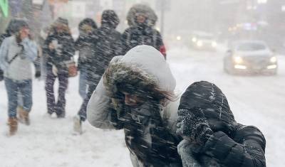 Синоптики предупредили о метели и аномальных морозах в ЦФО